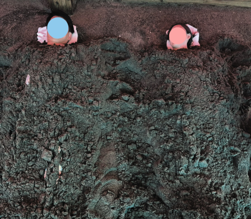 砂蒸し