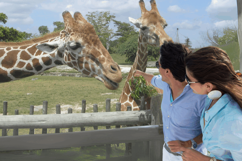 【2025年最新】平川動物公園・大人デートで絶対チェックしてほしい動物5選