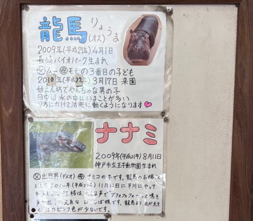 大人も唸る動物たちの奥深い世界