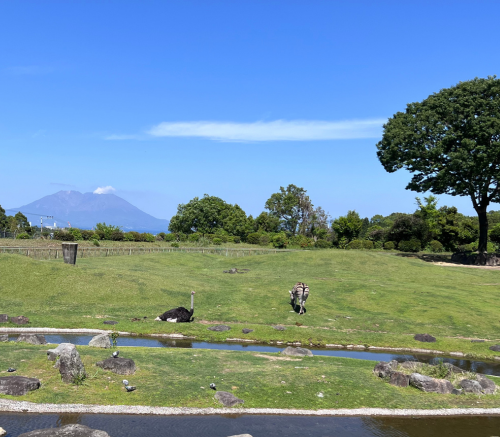 桜島を望む開放的な景色