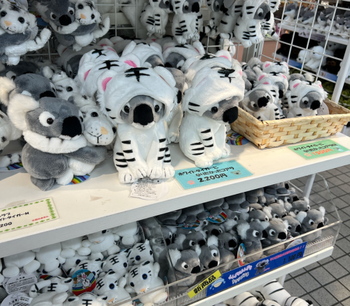 おみやげ