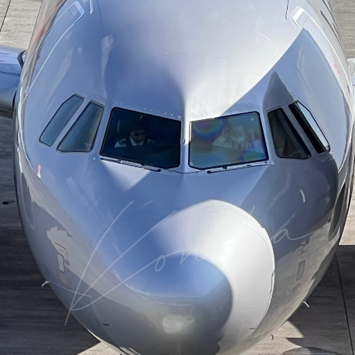 鹿児島空港の展望デッキからコックピットを撮影