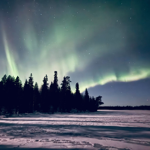 森からオーロラが