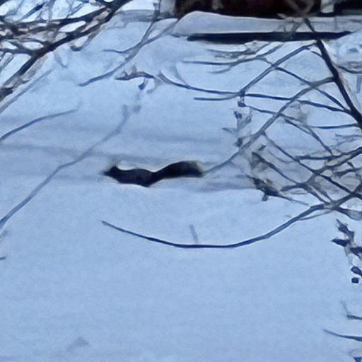 リスのシルエット