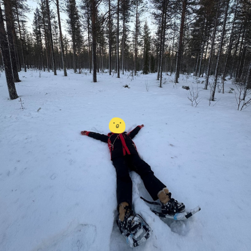 雪にダイブ