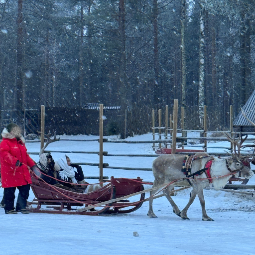 トナカイがゆっくりコースを回る様子