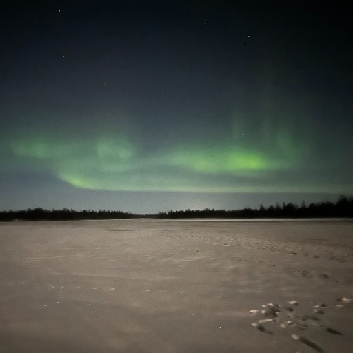 オーロラ。緑強め。実際に見ると、ここまで鮮やかではなく、煙のよう