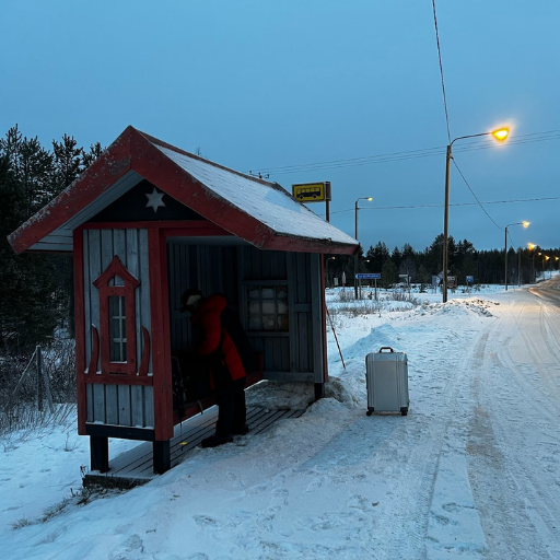 バス停。まわりに他何もない