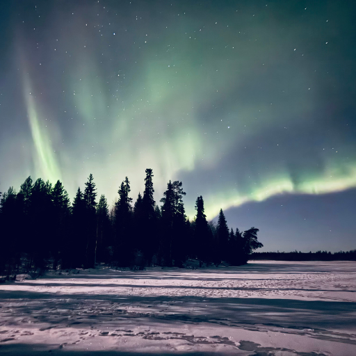 見られないと思っていたオーロラが空一面に!感動!!