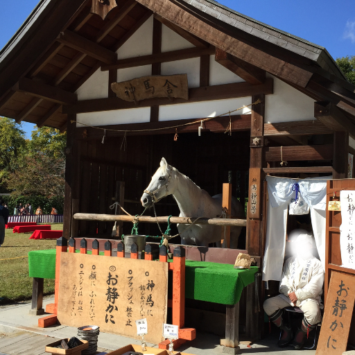 上賀茂神社のご神馬「神山号」