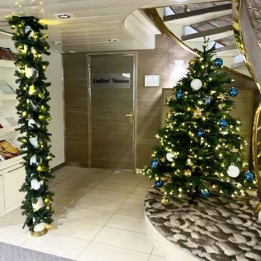 サウナ（女性用）入口。クリスマス前でツリーが飾ってあった