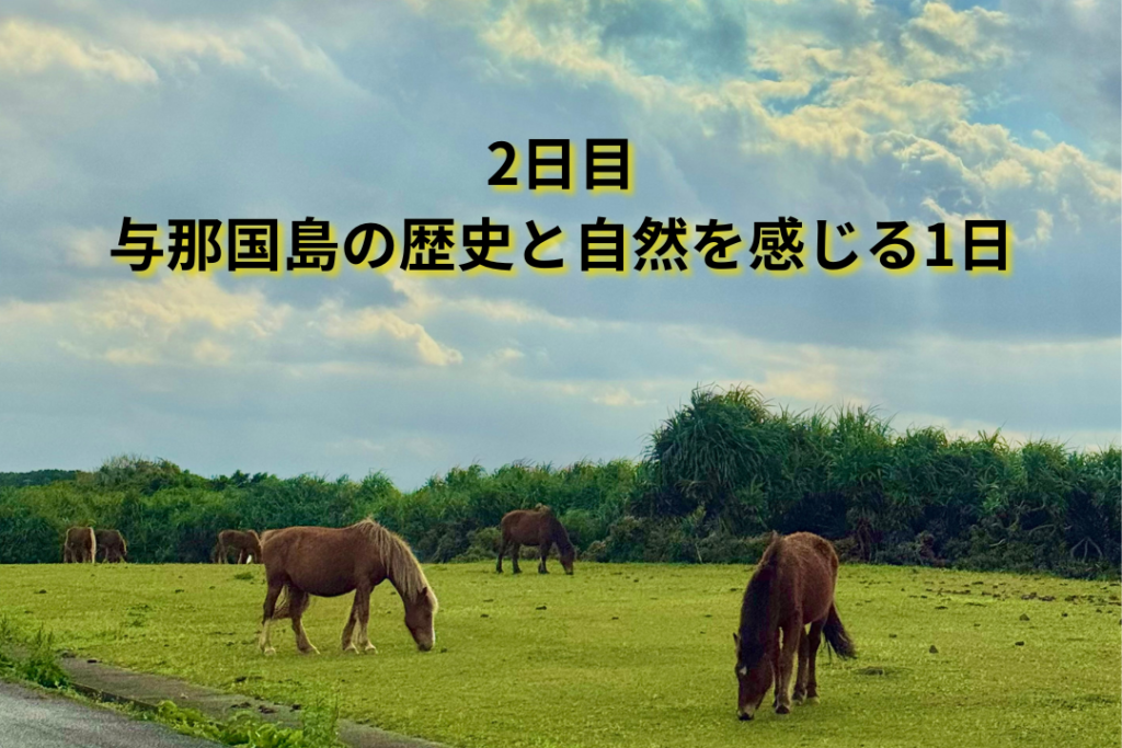 2日目|与那国島の歴史と自然を感じる1日