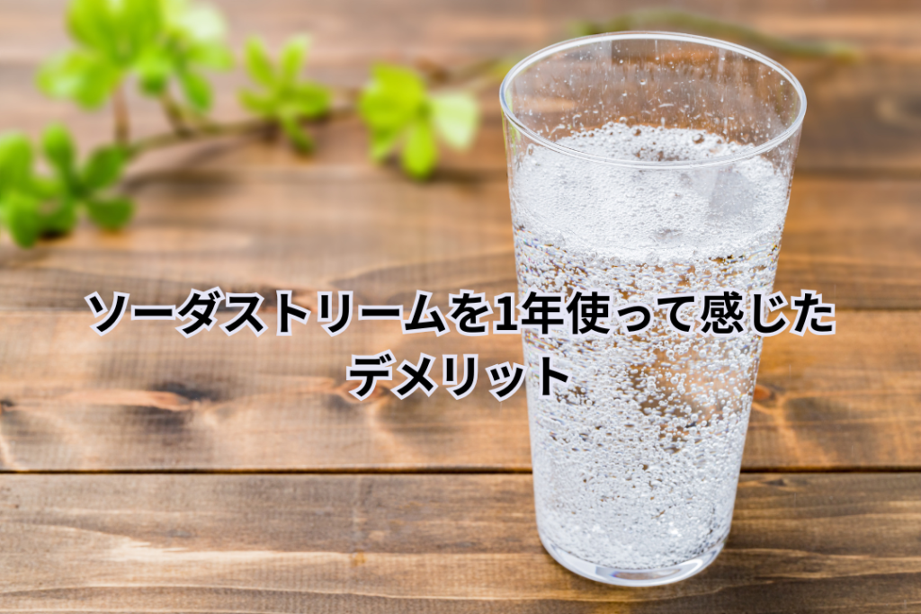 ソーダストリームを1年使って感じたデメリット