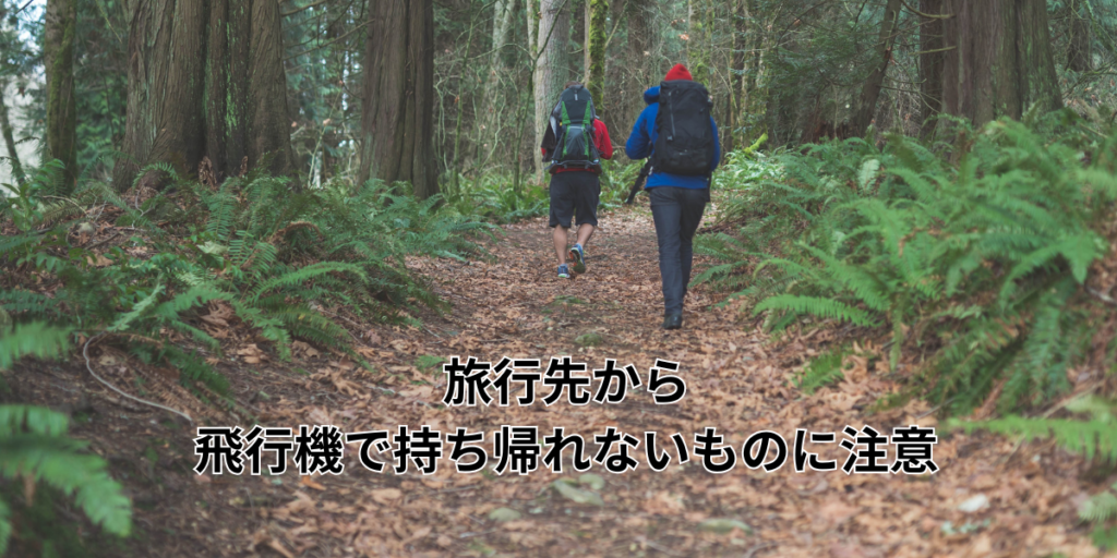 旅行先から飛行機で持ち帰れないものに注意